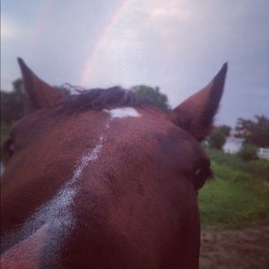 Meet your Posher, Pam